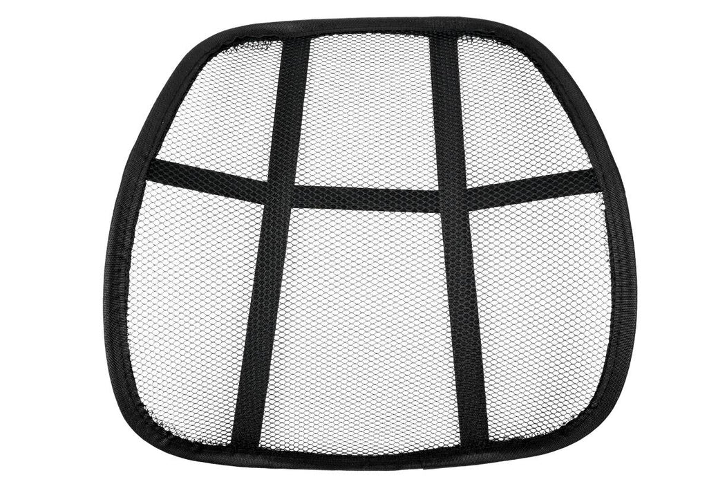 Lendensteun 37 x 42 cm