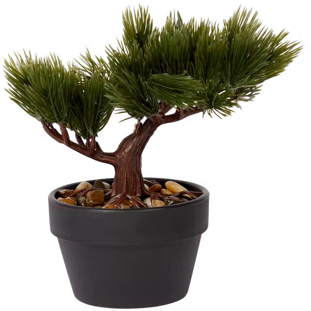Kunstplant in Pot Bonsaiboom Naaldboom