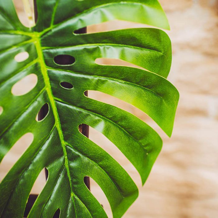 Decoratieblad Tropical 78 cm Kunsttak