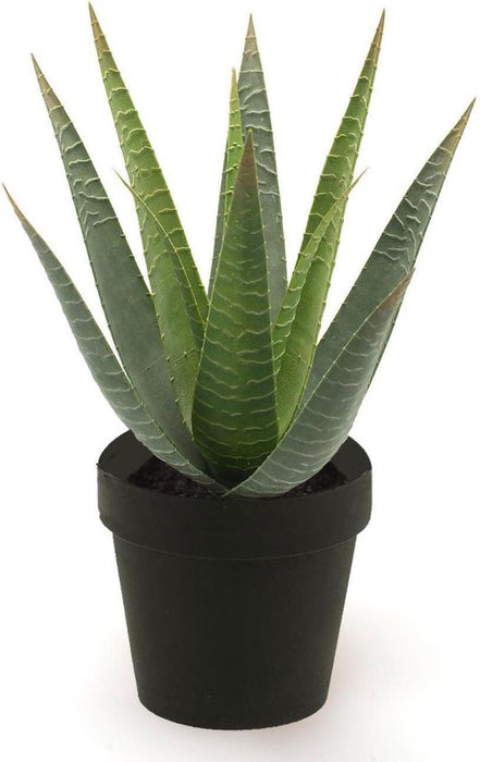 Kunstplant in Pot Aloe vera Ø 10 x 26 cm