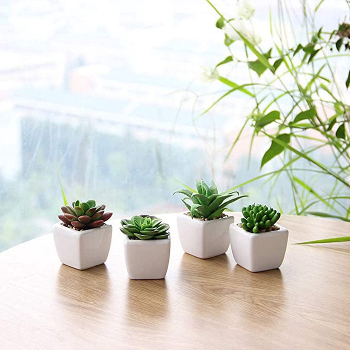 Kunstplanten - Vetplanten in Pot - Kamerplanten - Nep planten - 4 Stuks