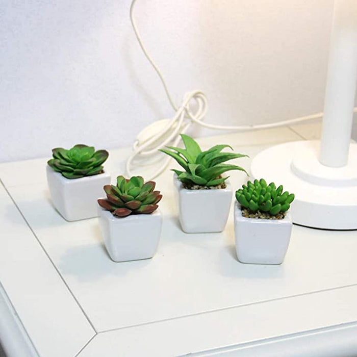 Kunstplanten - Vetplanten in Pot - Kamerplanten - Nep planten - 4 Stuks