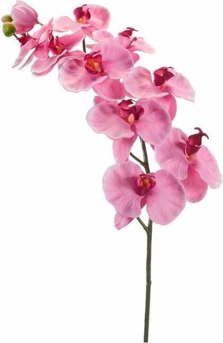 Kunsttak Orchidee Roze 78 cm