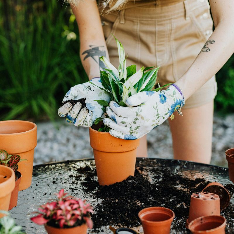 tuinaccessoires